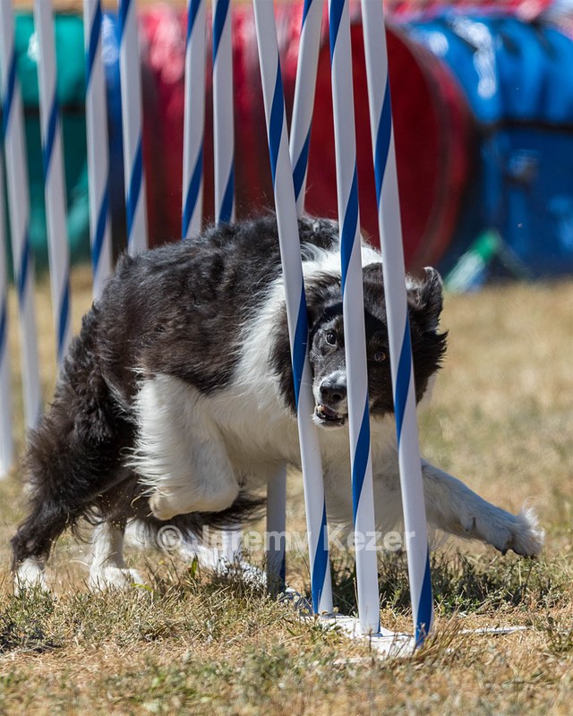 20160618-CCKC-1789.jpg