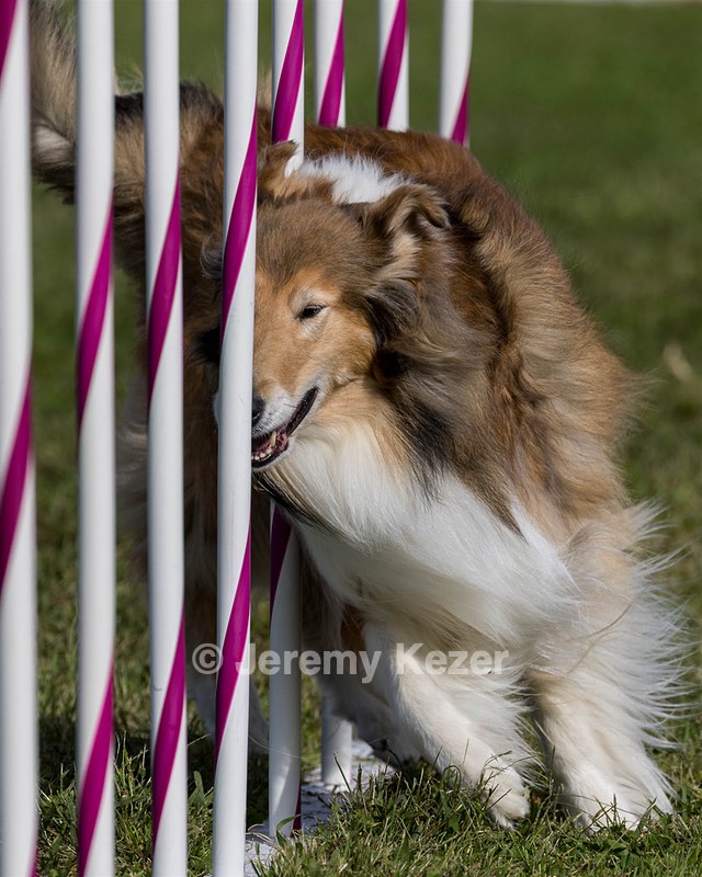 Rae Silva