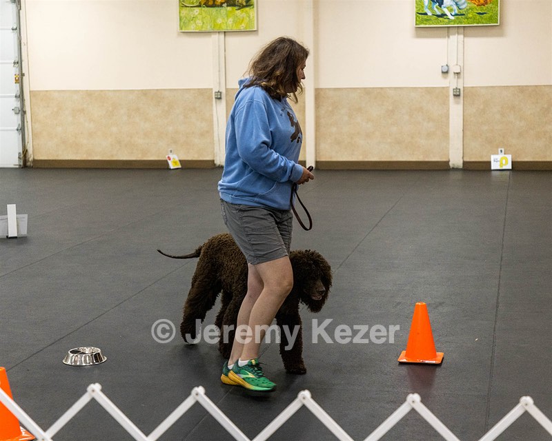 2304 - GCH CH BREKKON'S FIRST MARK BN RN CGC TKN (Hunny)