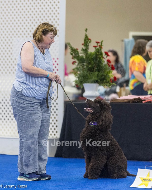 R15 - GCH CH LANDACRE'S NORDIC SAILOR DN CGC TKI