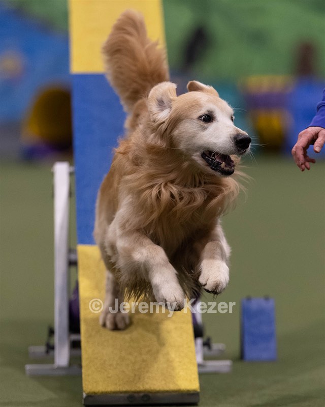 20260221-0810.jpg