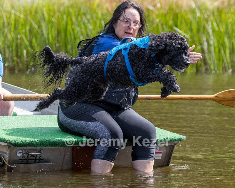 "Fenwick" and Janet