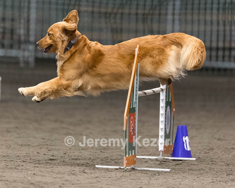 20260614-CCM-0032.jpg