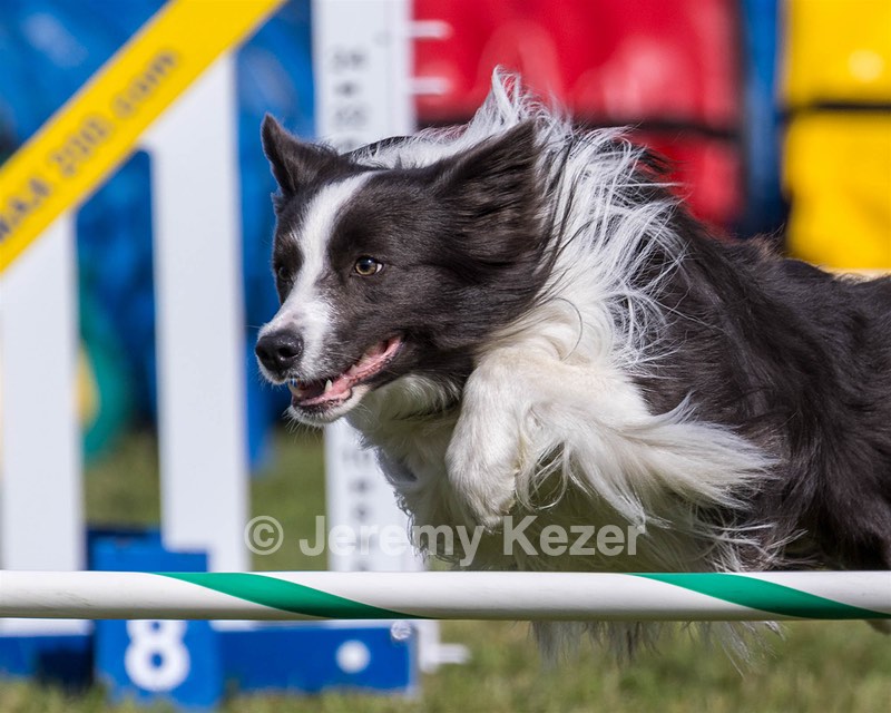 20230916-PVKC-1221.jpg