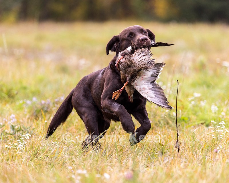 Gunny Fisher