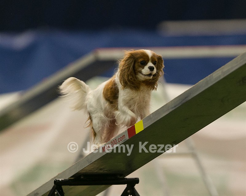 20150321-LEAP-1638.jpg