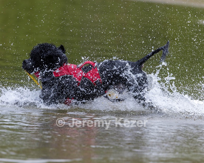 Swizzle Kennedy