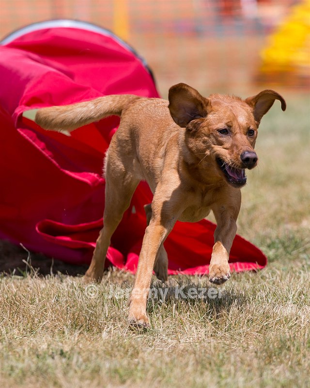 20150613-CCKC-0111.jpg