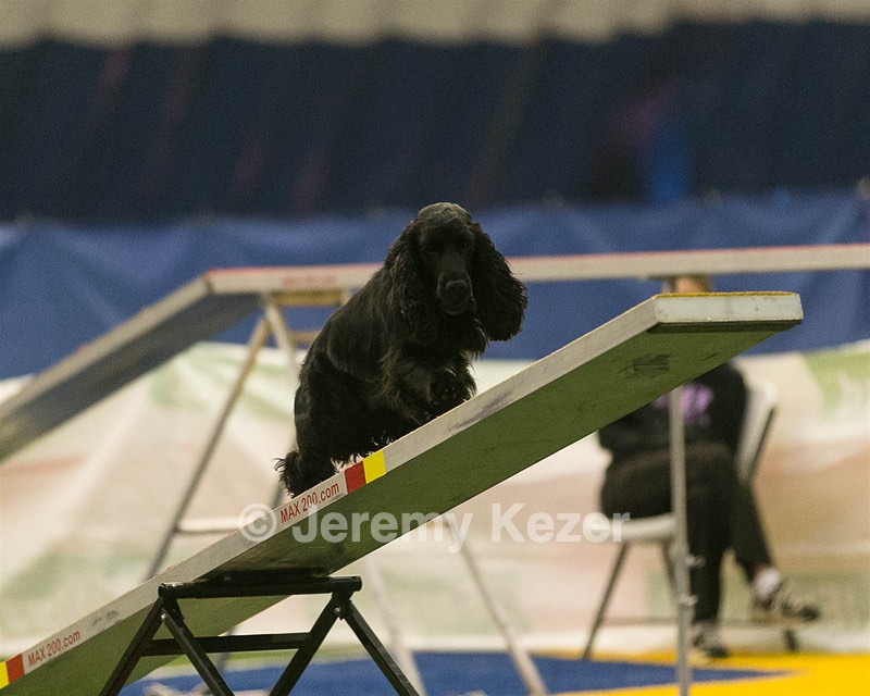 20150321-LEAP-1418.jpg