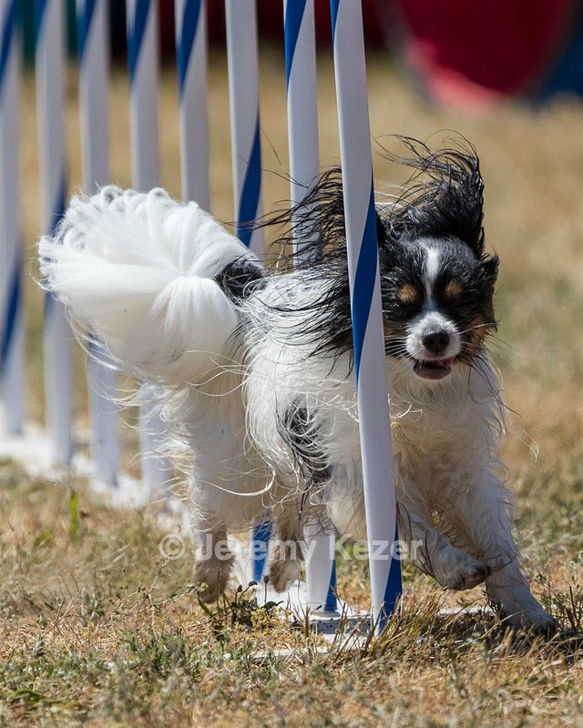 20160618-CCKC-2065.jpg