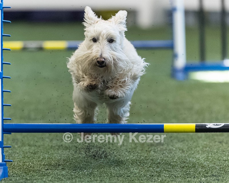 Monty Krapf