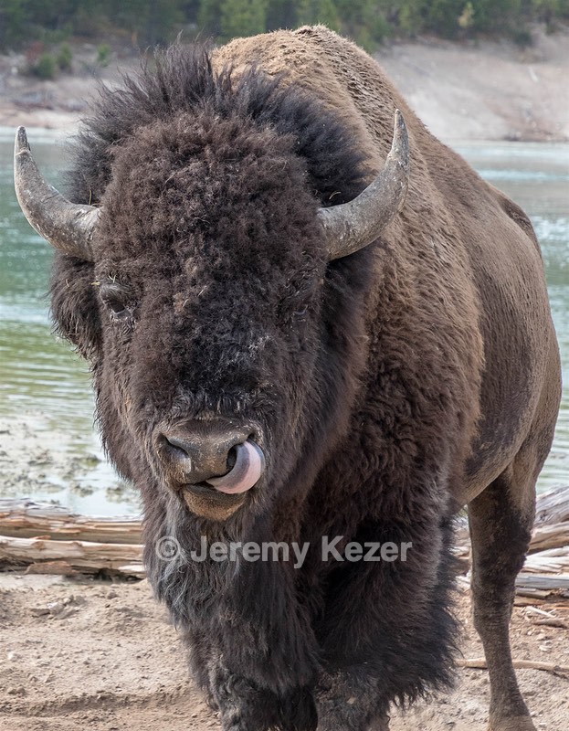 Yellowstone National Park