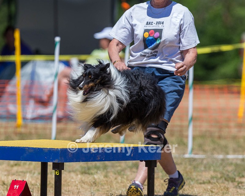 20160619-CCKC-1239.jpg