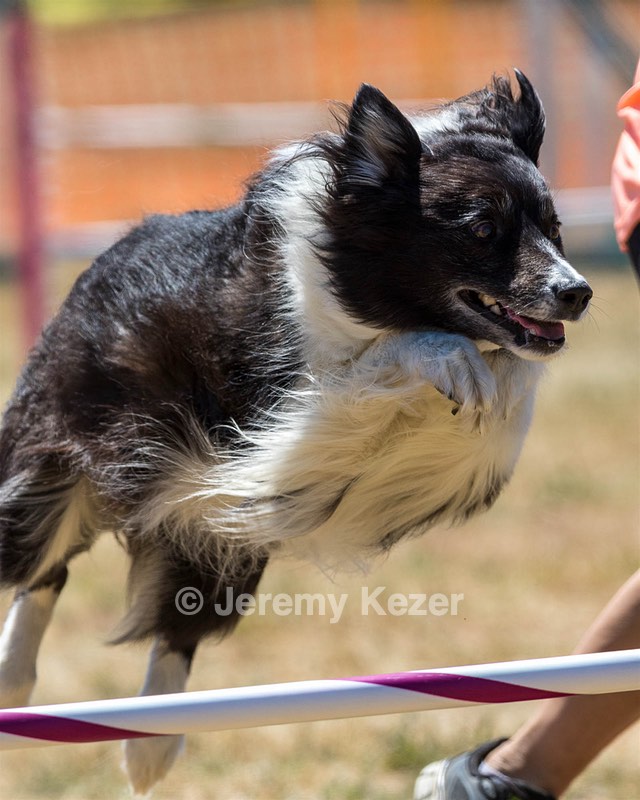 20160618-CCKC-1779.jpg
