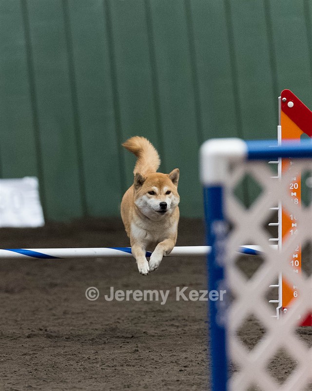 Sunshine Giles