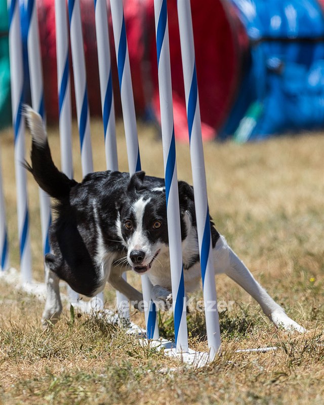 20160618-CCKC-1160.jpg