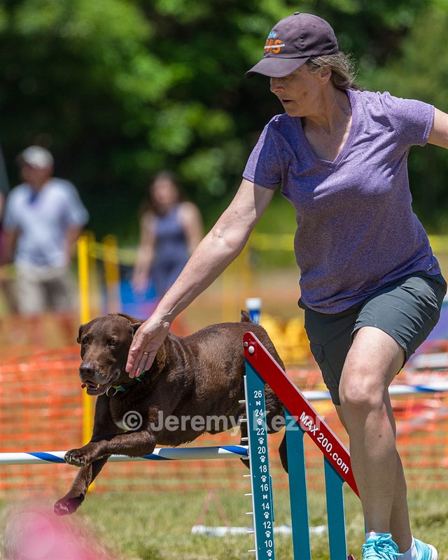 Roux Cross