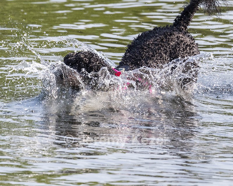 Tango Abbruzzese
