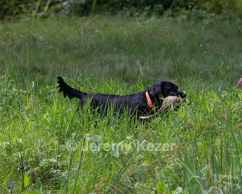 20130810-JHW-0313.jpg