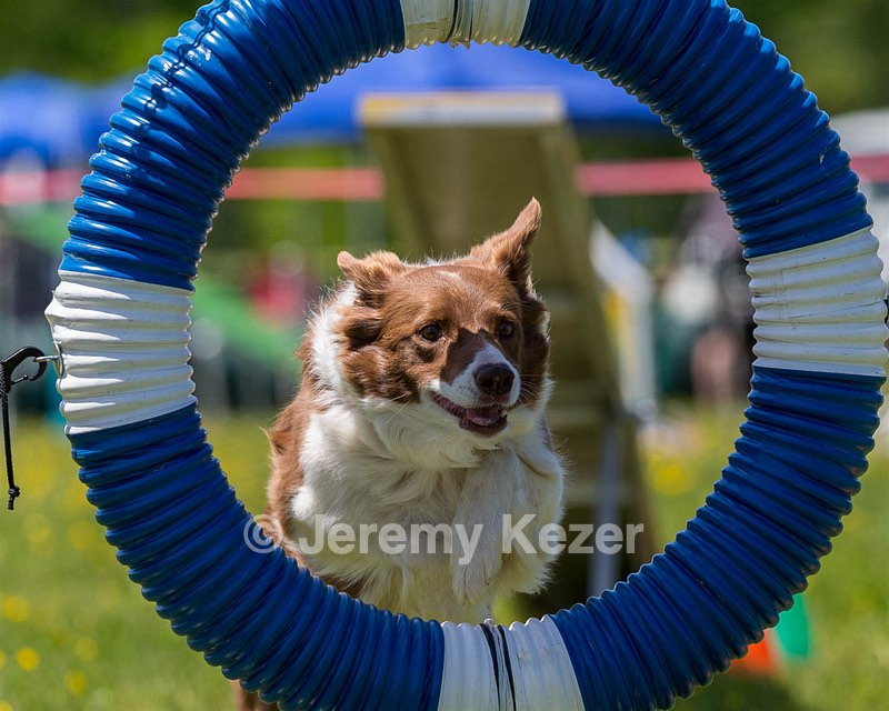 20170520-NEAT-1627.jpg