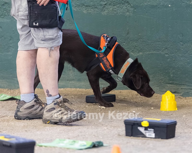 20260718-NSKC-0625.jpg