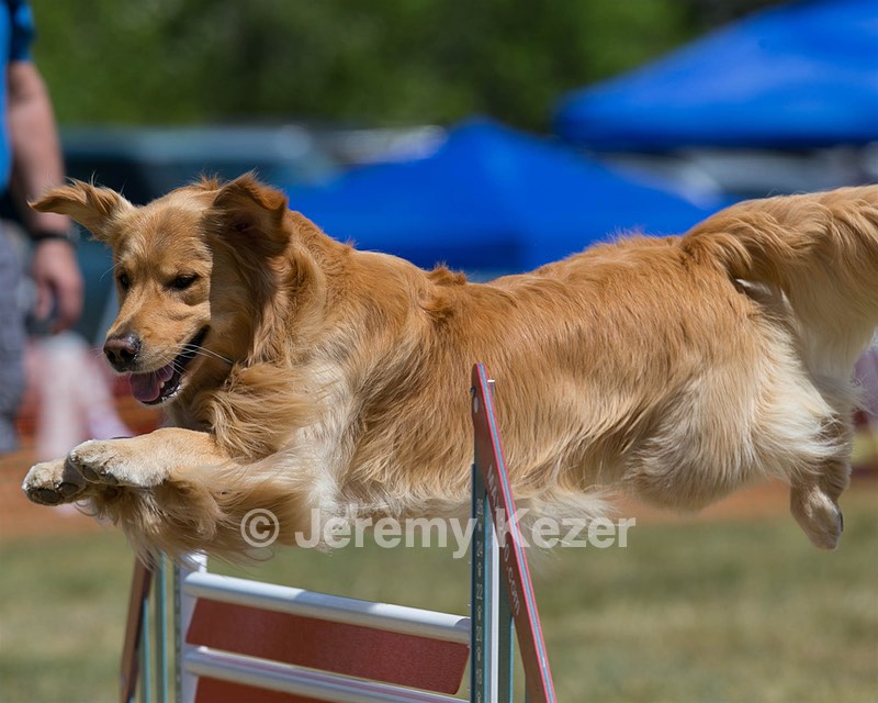 20150613-CCKC-0058.jpg