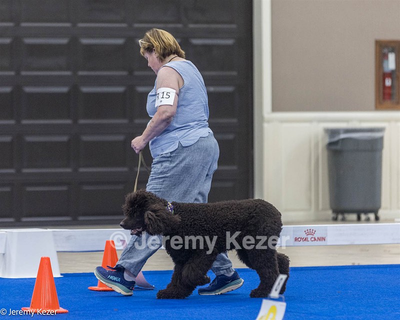 R15 - GCH CH LANDACRE'S NORDIC SAILOR DN CGC TKI