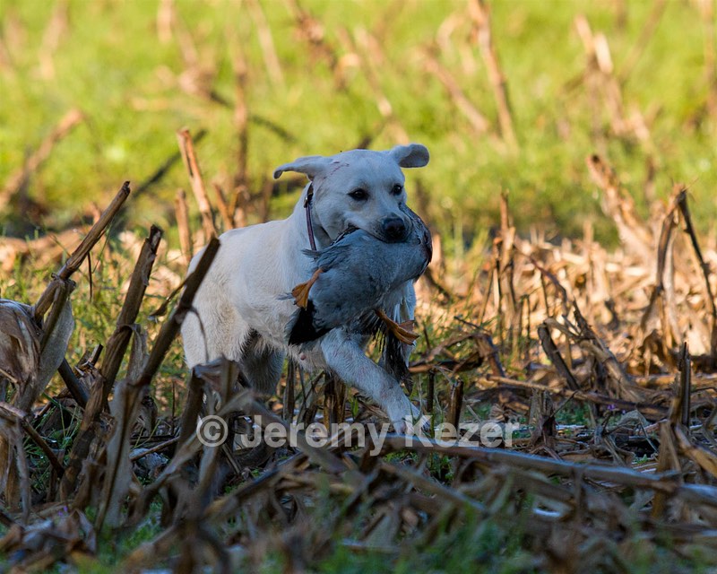 20061014-JHL-187.jpg