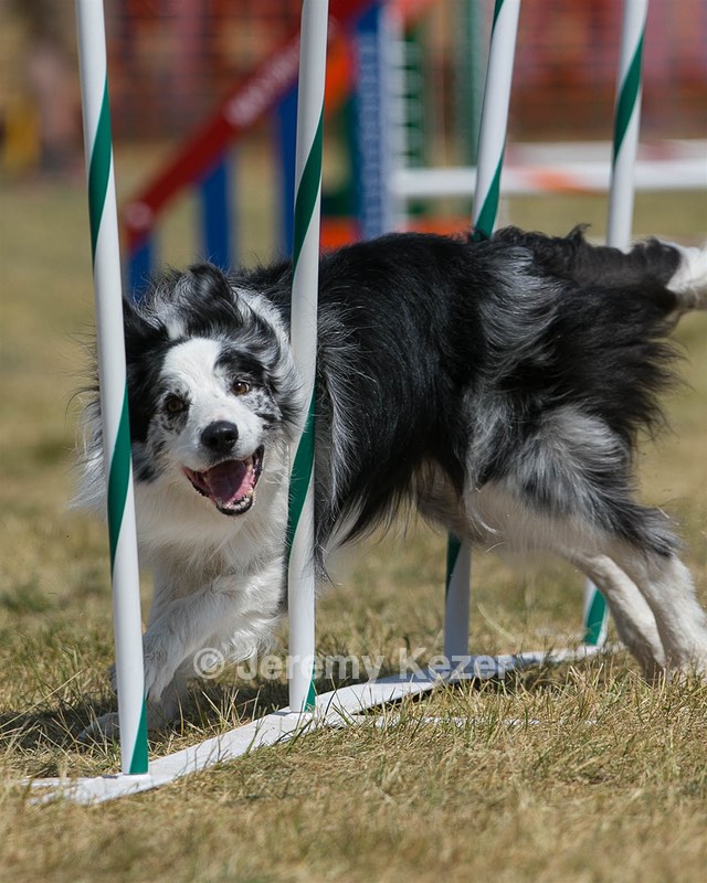 20150614-CCKC-1812.jpg