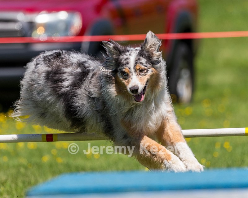 Pemi Fave-Saletnik