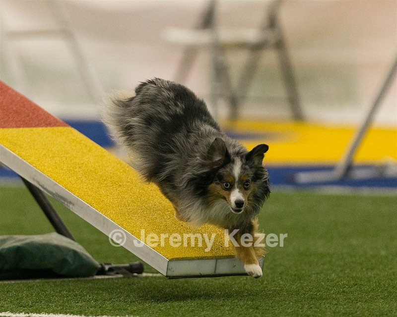 20150321-LEAP-1595.jpg