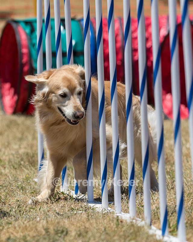 20160618-CCKC-1059.jpg