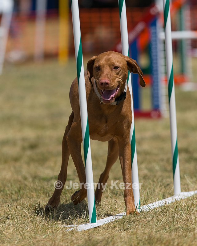 20150614-CCKC-1709.jpg