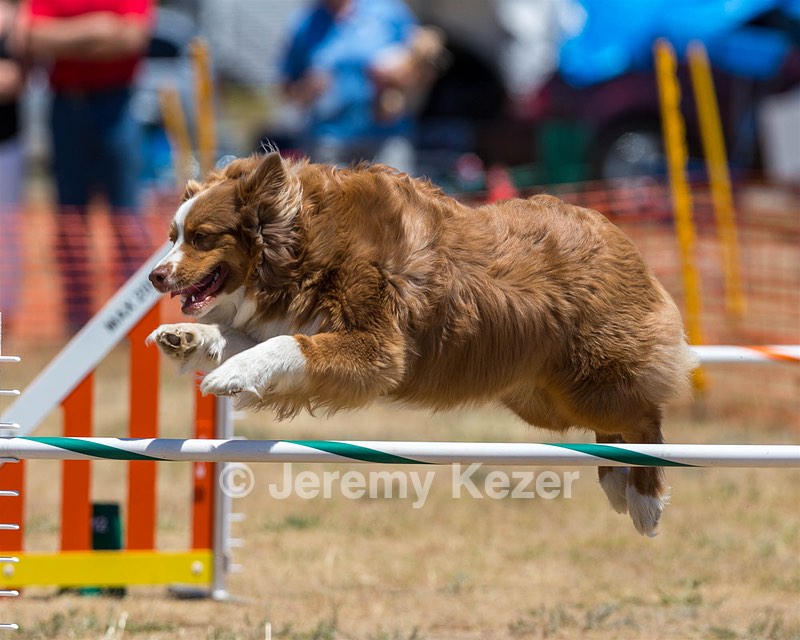 20160619-CCKC-1045.jpg