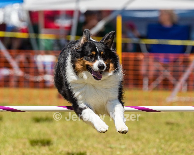 Kona Destremps