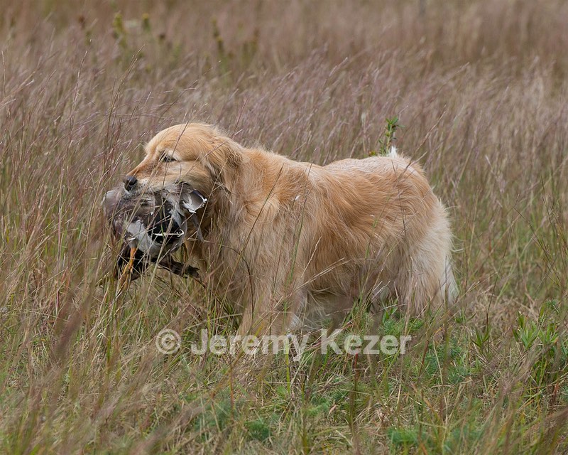 20130921-WCL-0014.jpg