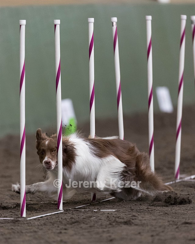20250615-CCM-0004.jpg