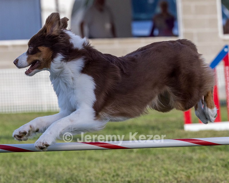 20230916-PVKC-1689.jpg