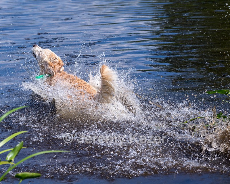 Rio Drager