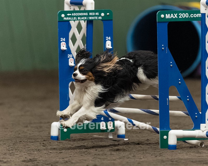 Cooper Willett