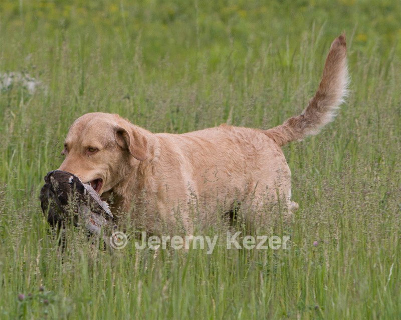 20080531-HRL-0013.jpg