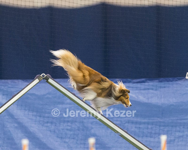 20150321-LEAP-1544.jpg
