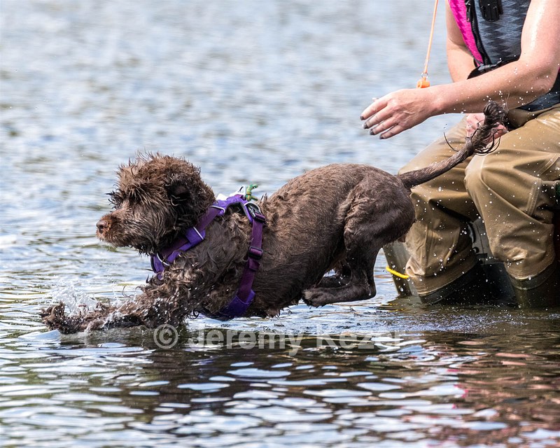 Rosie