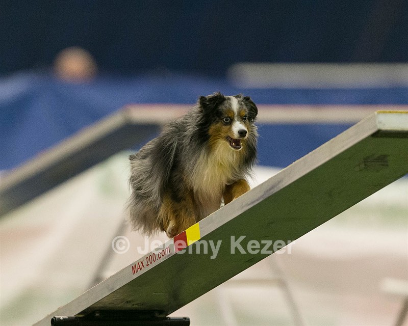 20150321-LEAP-1593.jpg