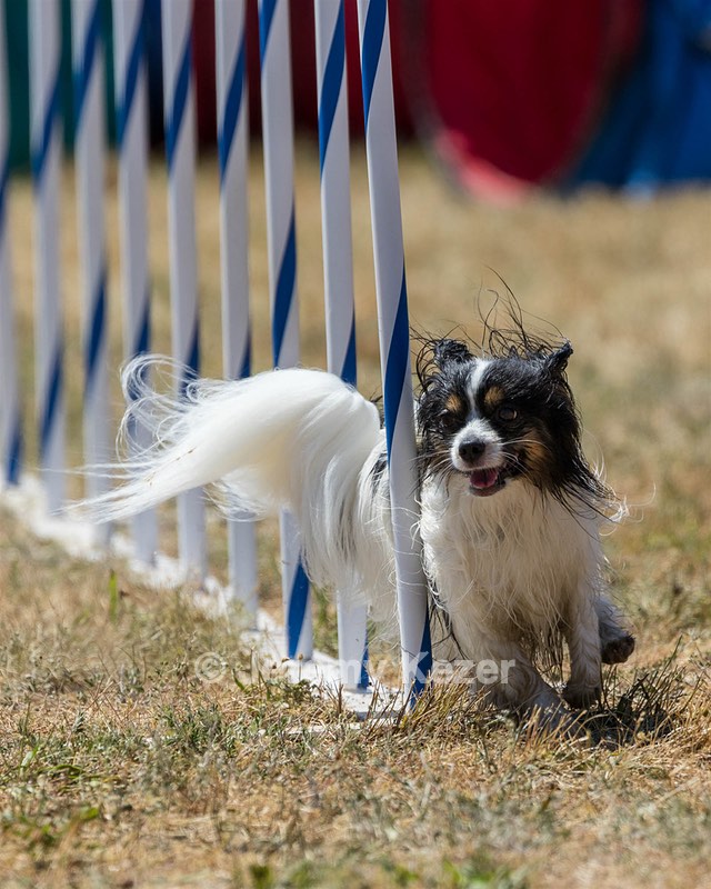 20160618-CCKC-2066.jpg