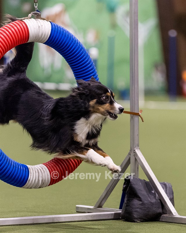 Willow Powell