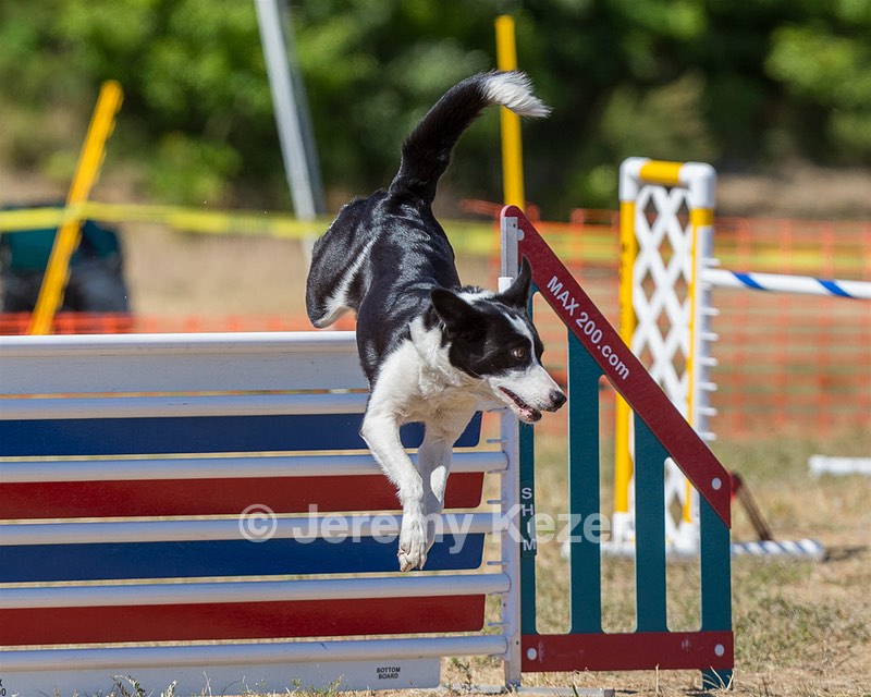 20160619-CCKC-1681.jpg