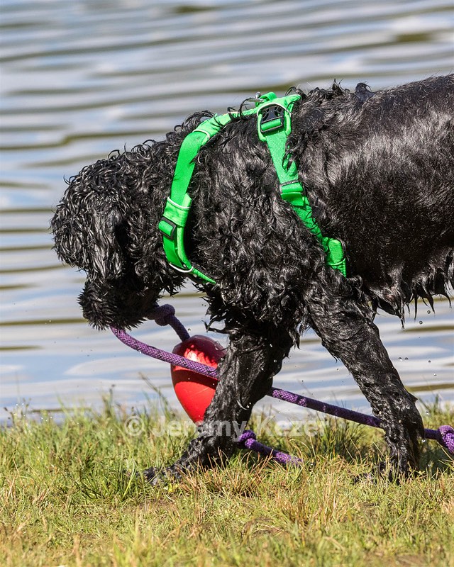 20170820-CWD-0055.jpg
