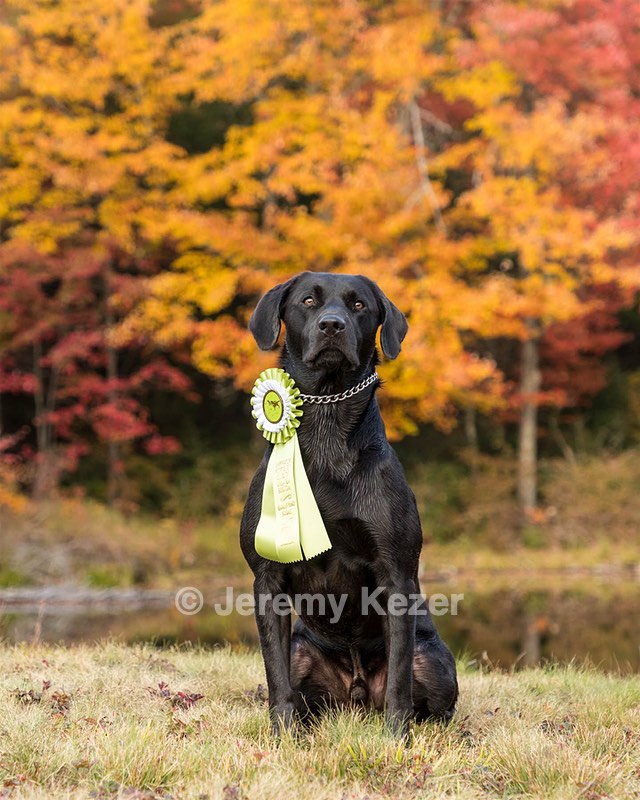Beau