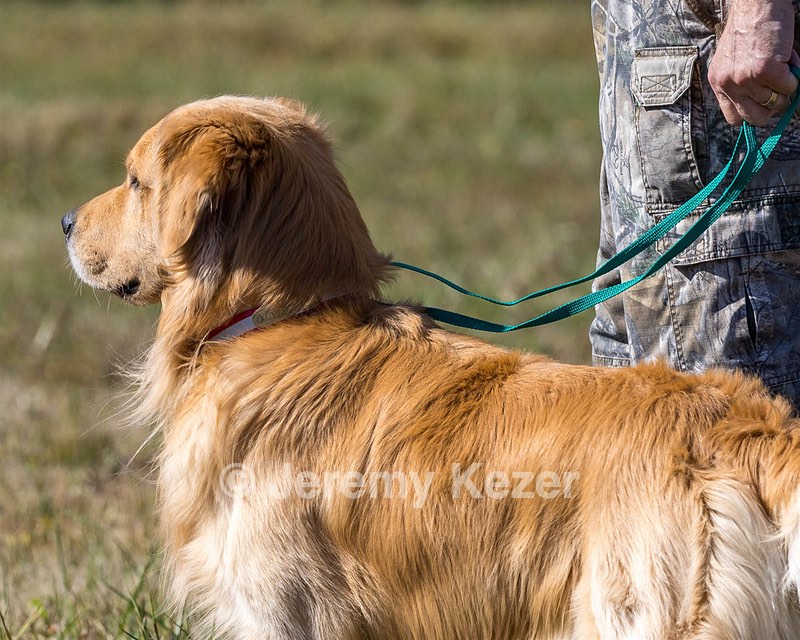 Koda Huss